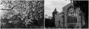 Commercial Photographer Peterborough, Commercial Photographer Stamford, Commercial Photographer Cambridge